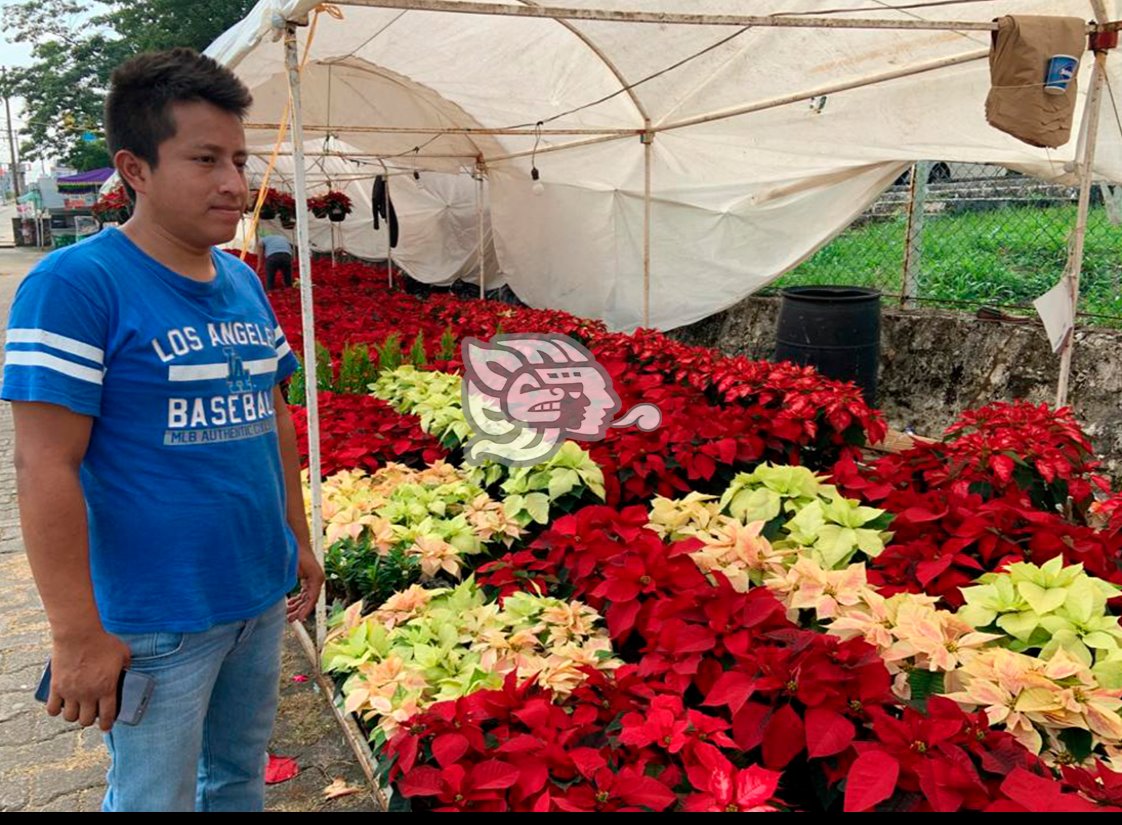 Comerciantes de Acayucan volverán a las calles para ventas navideñas