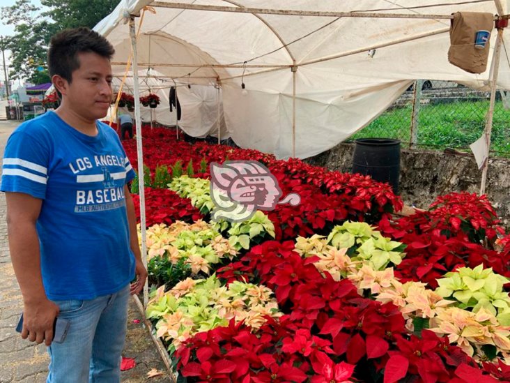 Comerciantes de Acayucan volverán a las calles para ventas navideñas