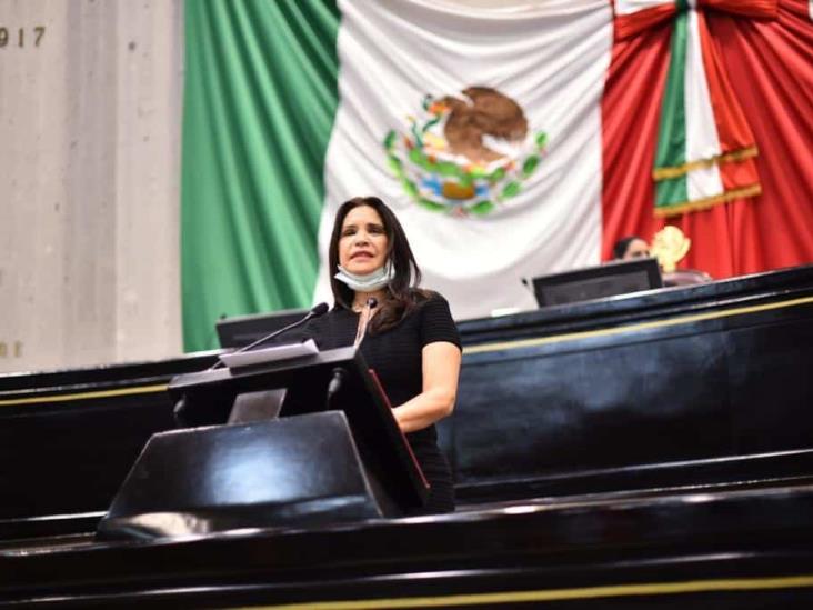 En tribuna, denuncia diputada Mónica Robles caso de violencia de género