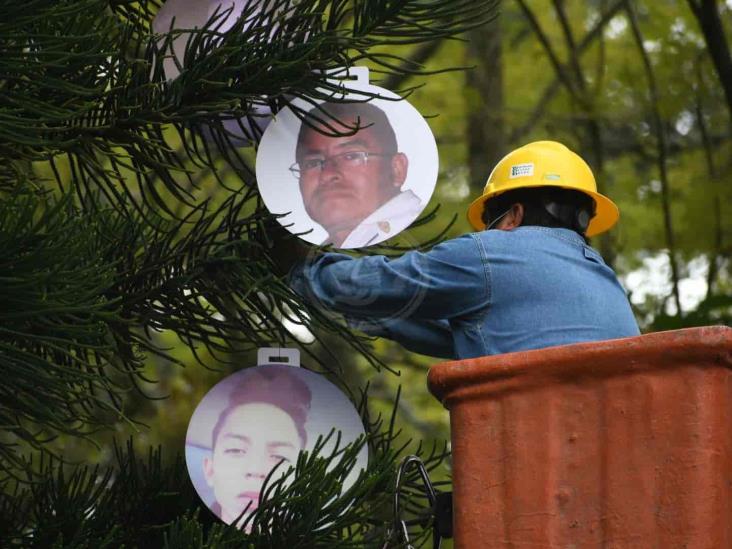 Colocan árbol del dolor y la esperanza por los desaparecidos de Veracruz