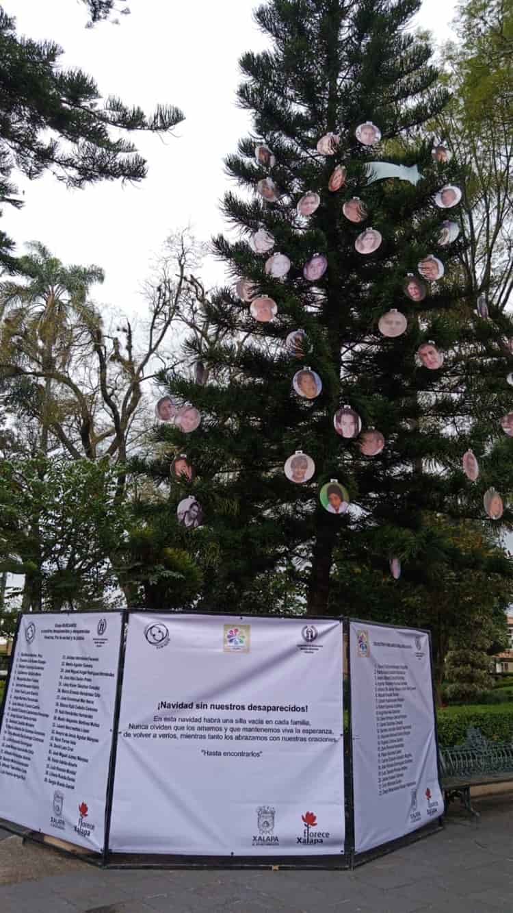 Colocan árbol del dolor y la esperanza por los desaparecidos de Veracruz