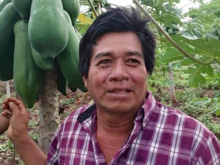 Aprovechan apoyos al campo para producir papayas en la sierra