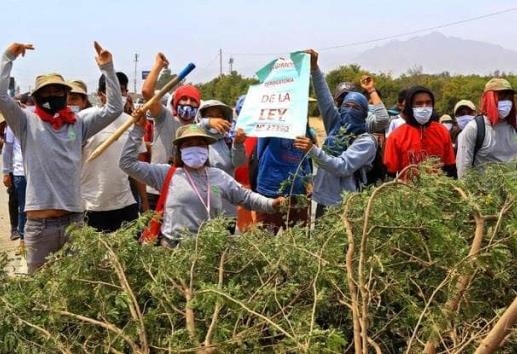 Enfrentamientos entre agricultores y policía de Perú deja un muerto