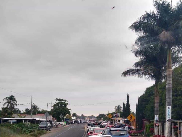 Detienen a David Villalobos, líder de autodefensas en Veracruz