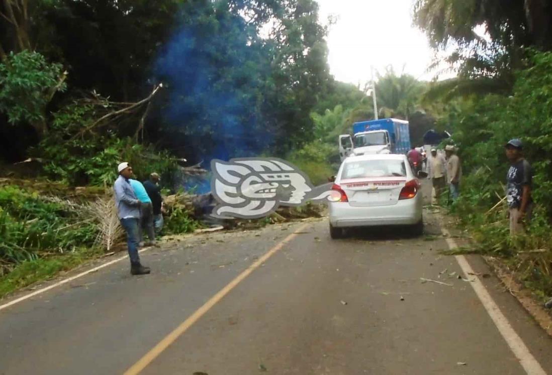 Buscan instalar subestaciones eléctricas en la sierra de Soteapan