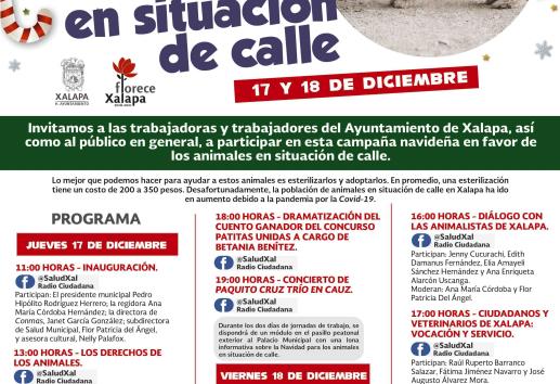 Donaciones altruistas en Xalapa parara esterilizar animales en situación de calle