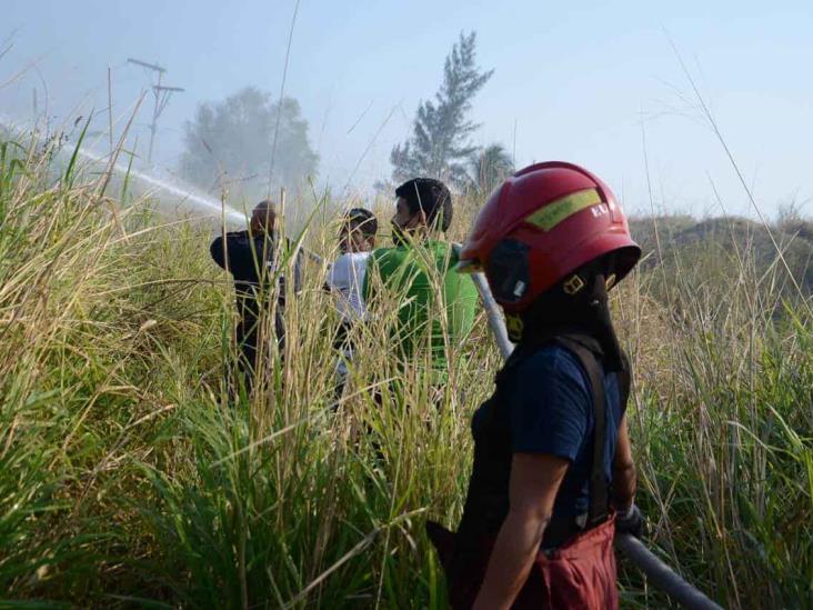 Se incendia pastizal en Veracruz; cerca de 30 voluntarios se unieron en apoyo