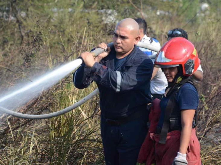 Se incendia pastizal en Veracruz; cerca de 30 voluntarios se unieron en apoyo