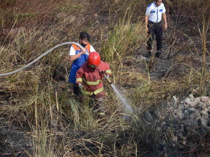 Se incendia pastizal en Veracruz; cerca de 30 voluntarios se unieron en apoyo