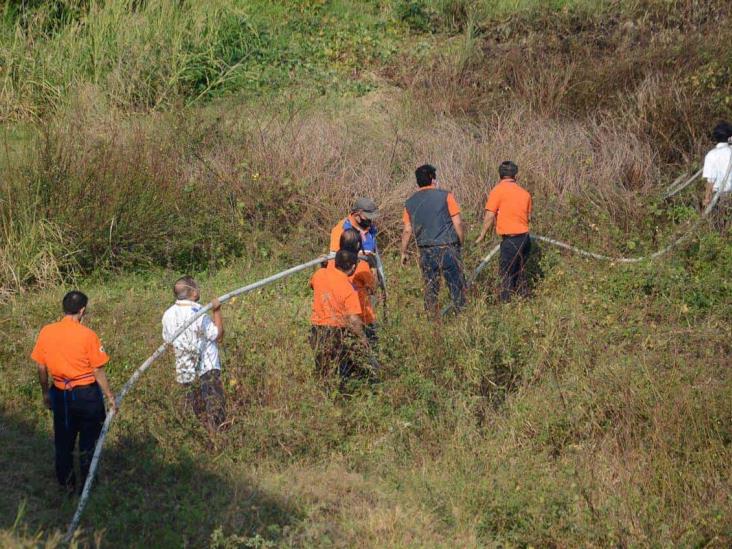 Se incendia pastizal en Veracruz; cerca de 30 voluntarios se unieron en apoyo