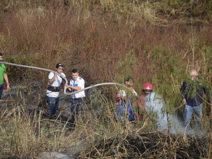 Se incendia pastizal en Veracruz; cerca de 30 voluntarios se unieron en apoyo