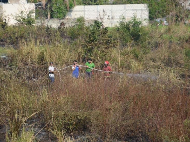 Se incendia pastizal en Veracruz; cerca de 30 voluntarios se unieron en apoyo