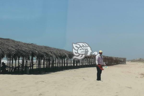 Palaperos de Tuxpan comienzan a recuperarse