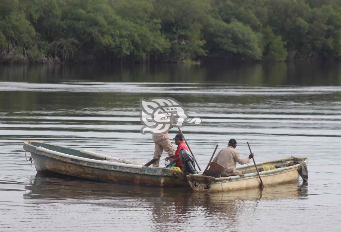 Se reactivó la actividad pesquera en el sur de Veracruz