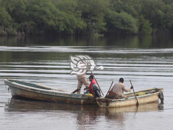 Se reactivó la actividad pesquera en el sur de Veracruz