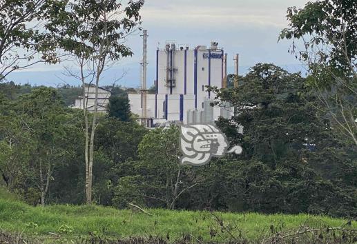 En Veracruz, Nestlé invertirá 150 mdp en nueva rúa en La Orduña