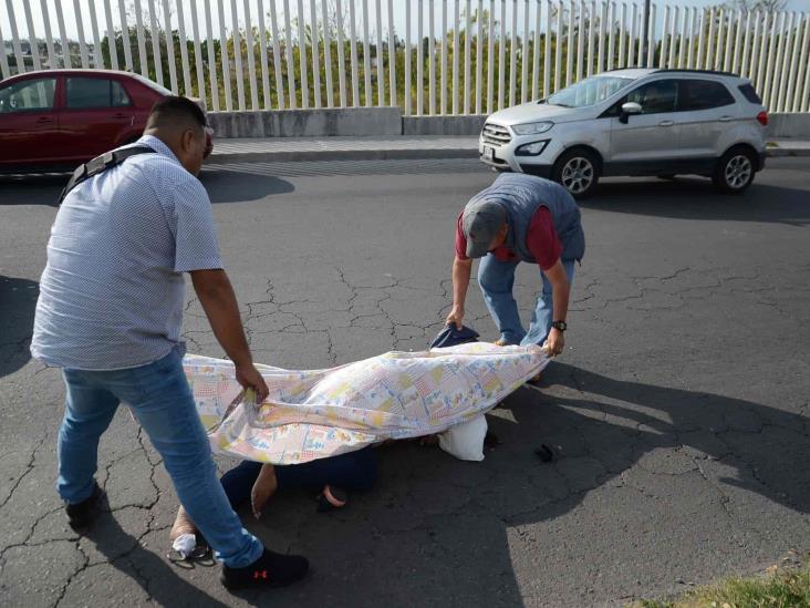 Muere profesora atropellada por camión de volteo en Veracruz