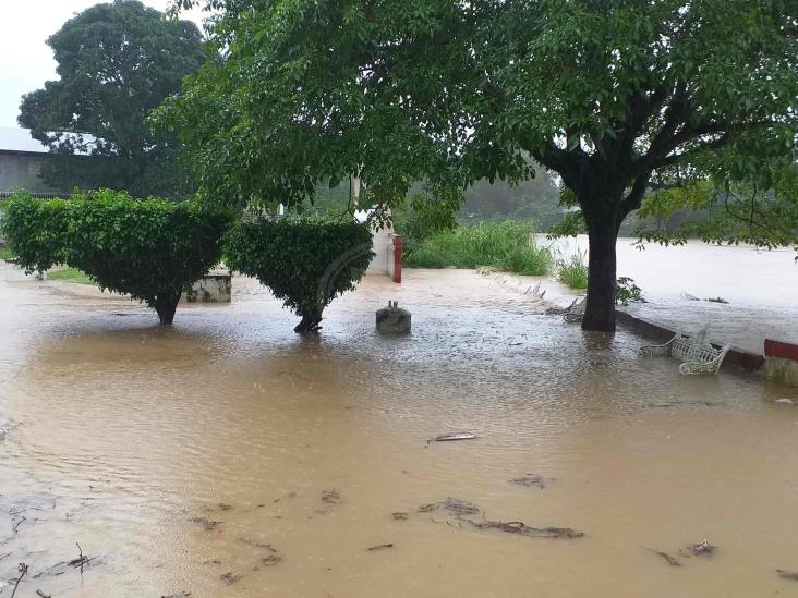 Se desborda el río Agua Dulce; carretera y 13 colonias inundadas