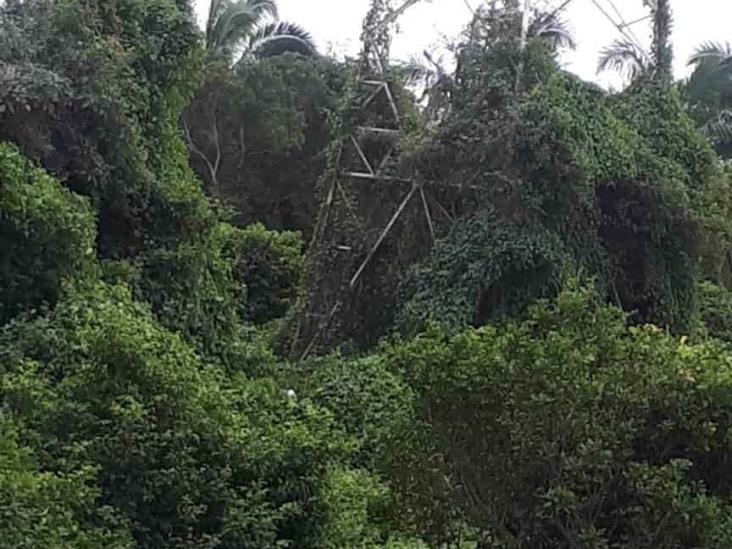 Se suicida hombre con problemas mentales en Veracruz