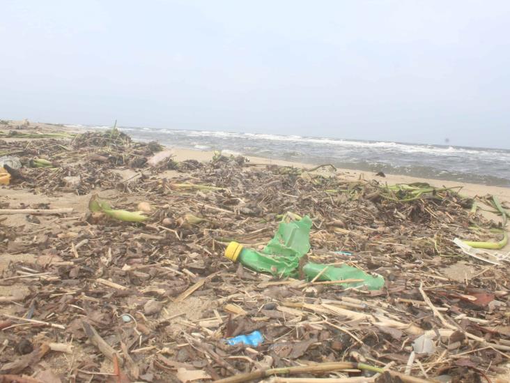 Playas de Agua Dulce quedaron cubiertas de basura y palotada