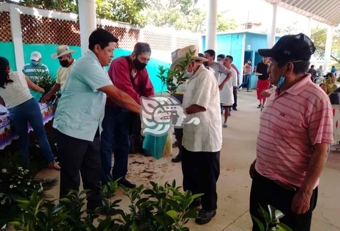 Con plantas de cítricos y otras frutas, reactivarán el agro de Cosoleacaque