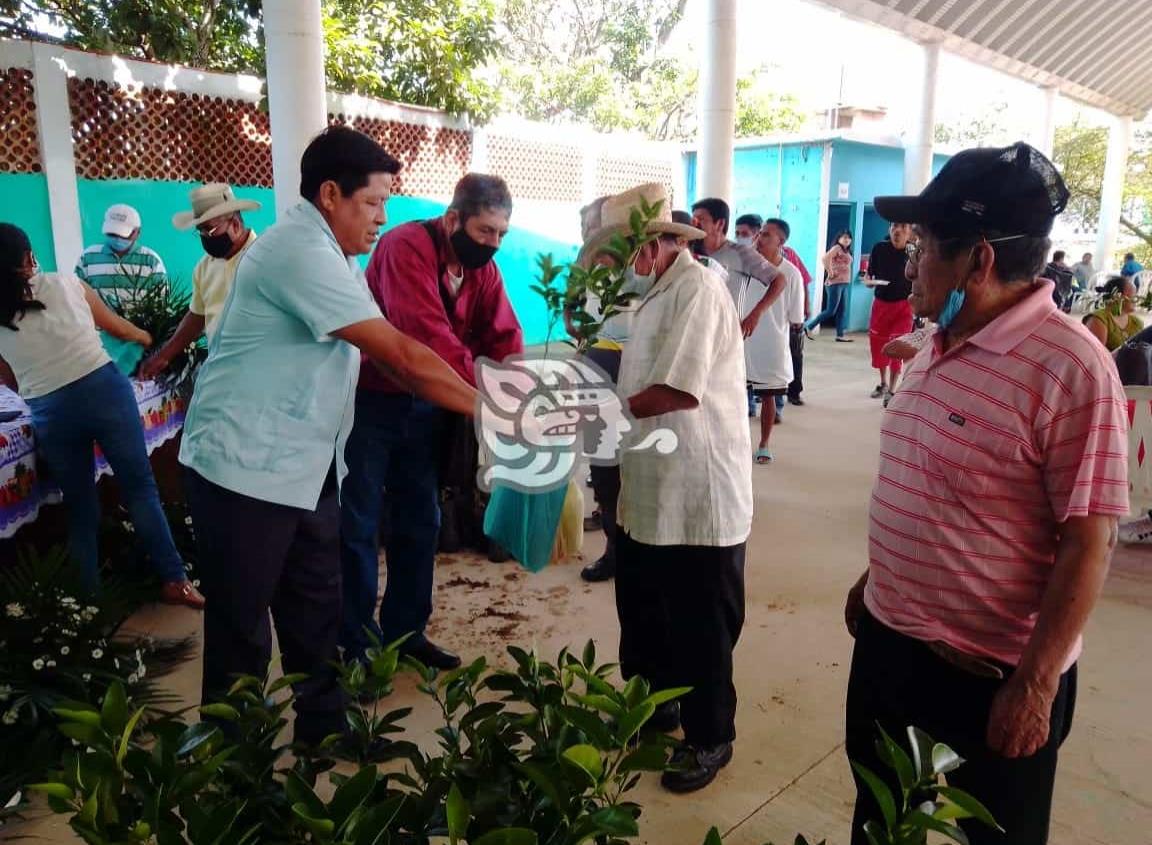 Con plantas de cítricos y otras frutas, reactivarán el agro de Cosoleacaque