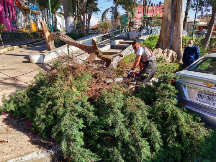 Ante fuertes vientos, piden a veracruzanos no salir de casa