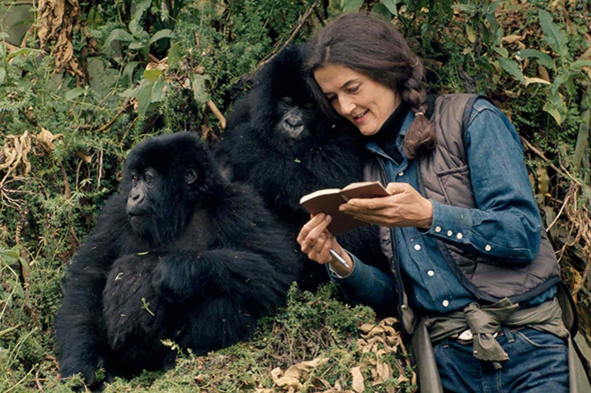 Dian Fossey, gorilas en la niebla