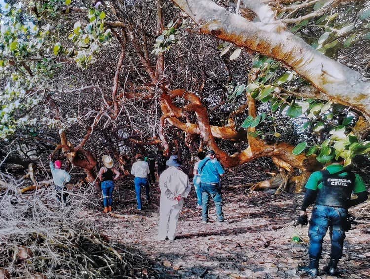 Desaparecidos de Veracruz: no tenemos nada que celebrar, en casa un lugar vacío