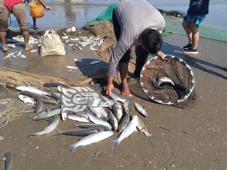 Sacan para el gasto pescadores en playas de Coatzacoalcos