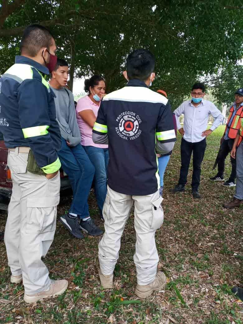 Abejas atacan a trabajadores en instalaciones del Icatver en Acayucan