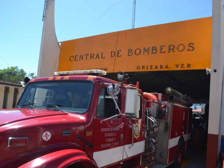 Bomberos de Orizaba salvaguardan abejas para no afectar entorno