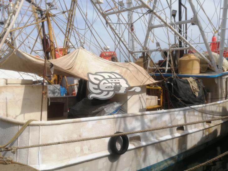 Contaminación de termoeléctrica acaba con pesca en Tuxpan