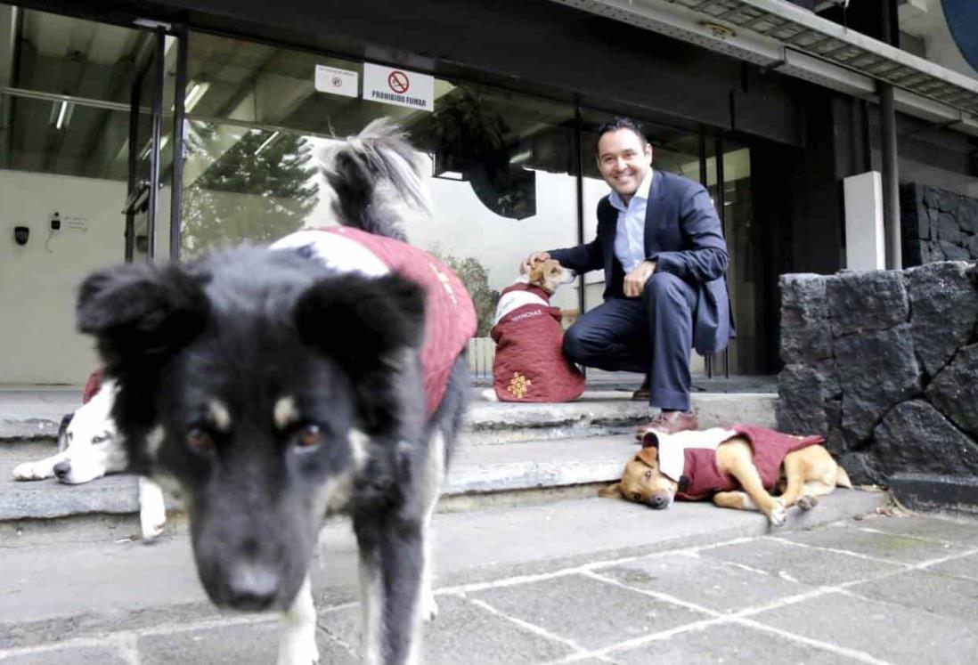 Acoge Sefiplan a nuevo personal ‘de cuatro patas’