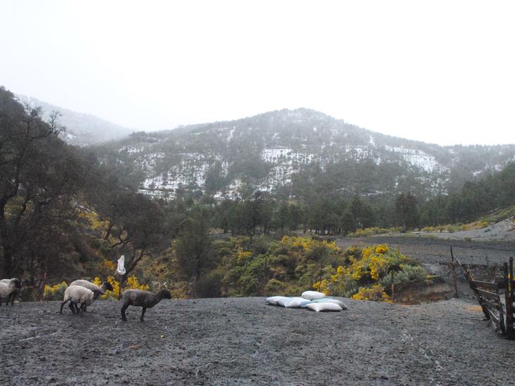 Ante aguanieve en Pico de Orizaba, visitantes ignoran disposiciones