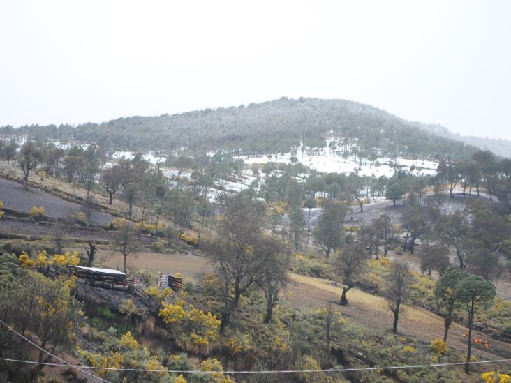 Ante aguanieve en Pico de Orizaba, visitantes ignoran disposiciones