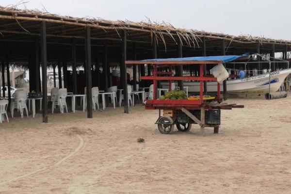 Palaperos dan continuidad a medidas sanitarias en Tuxpan