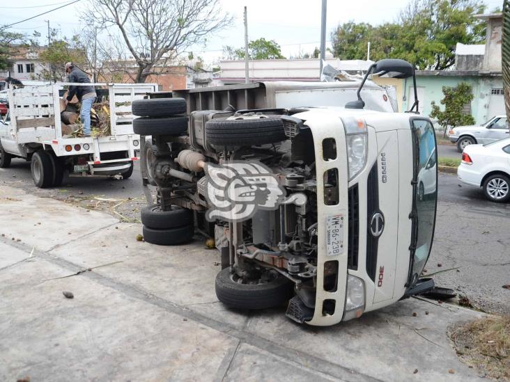 Cae palmera y provoca volcadura en Veracruz