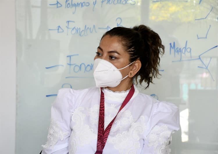 Toca a FGE resolver conflicto en bosque de Coatepec: Sedatu