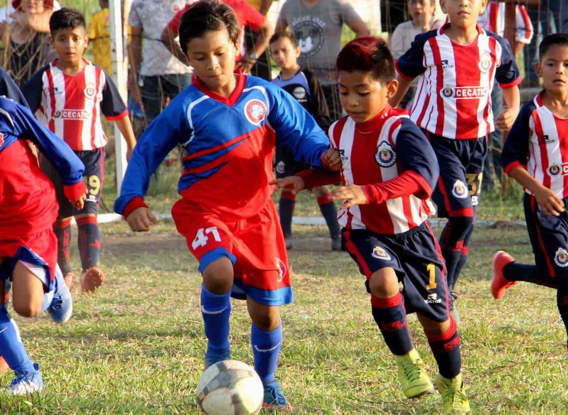 El deporte en general debe seguir en el confinamiento