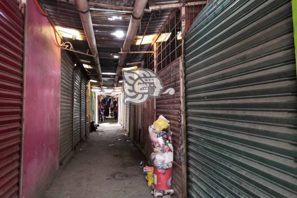 Quiebran pequeños comerciantes de Tuxpan por pandemia