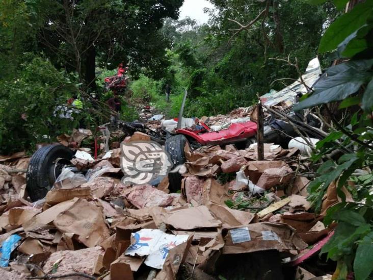 Cae tráiler cargado de carne en puente Coatza 2; conductor muere