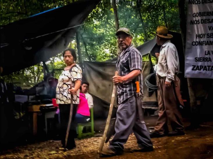 En riesgo, 50% de especies de orquídeas por devastación de bosque en Coatepec