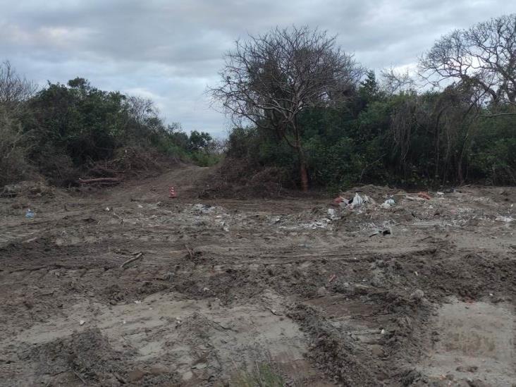 Ambientalistas denuncian ecocidio en Riviera Veracruzana