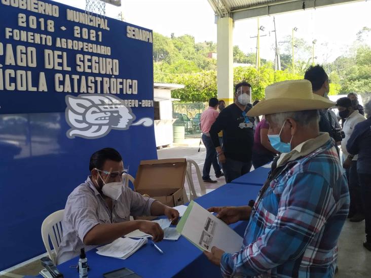 Pagan seguro catastrófico a citricultores de Papantla