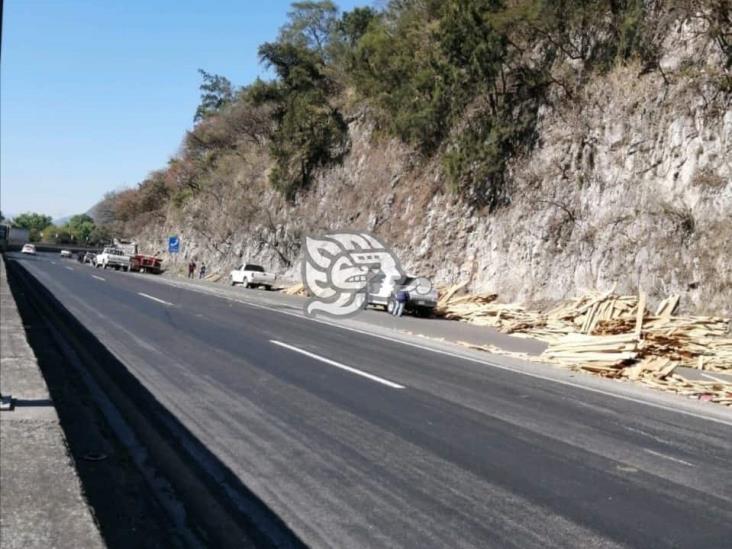 Vuelca tráiler con madera en Nogales; se desata rapiña