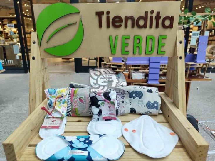 Tiendita Verde, proyecto ecofriendly que cuida el medio ambiente