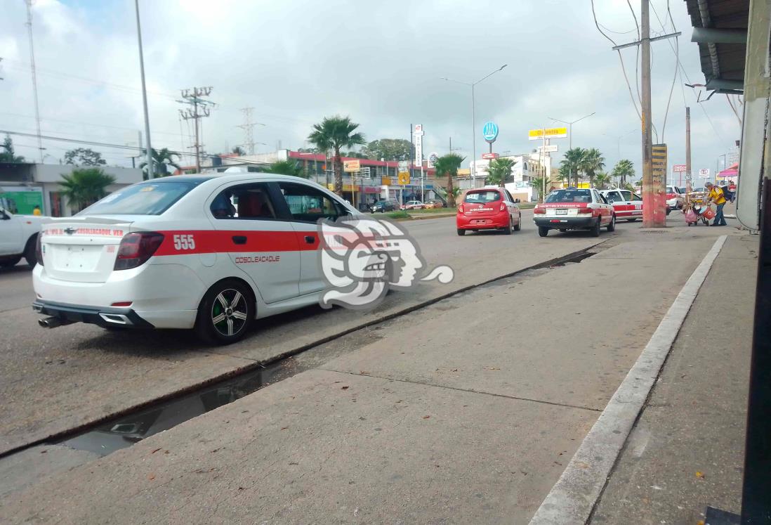 Invaden taxistas áreas del transporte urbano en Minatitlán