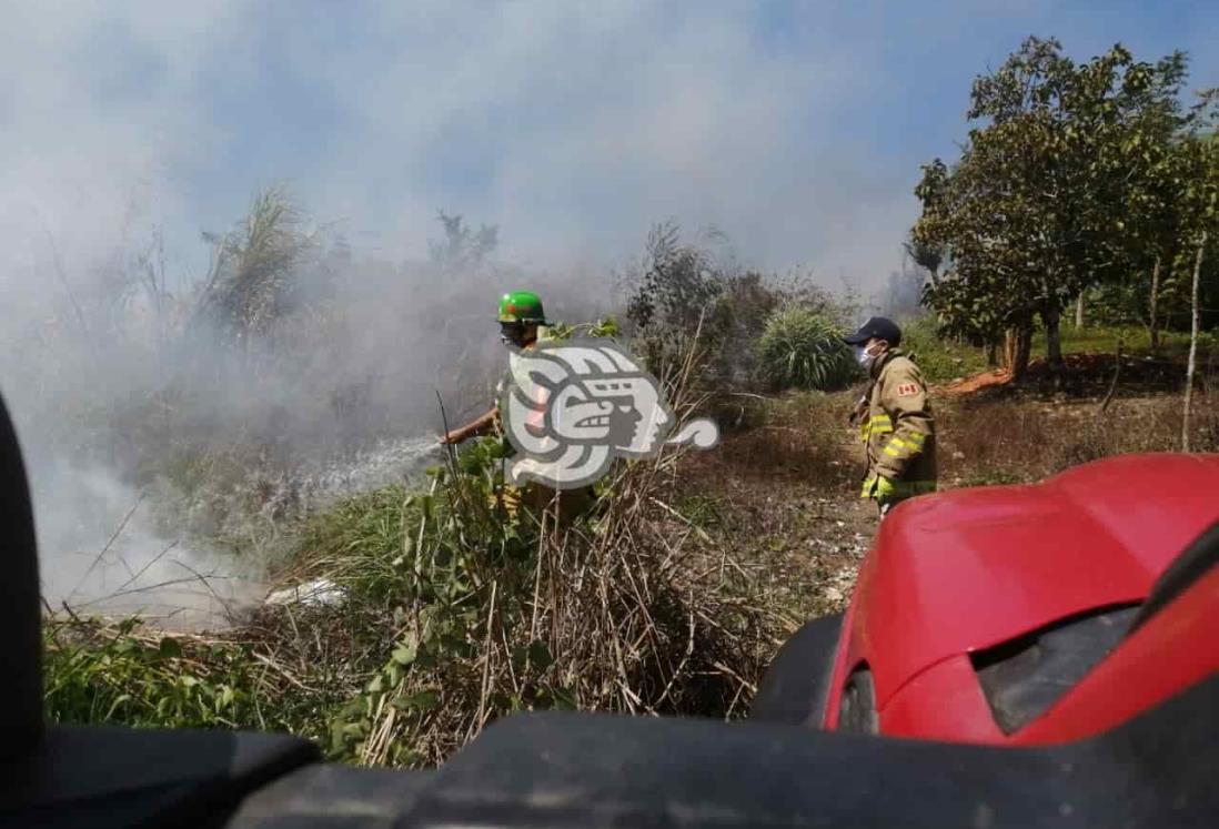 Provocan incendio de pastizal en La Malinche de Acayucan