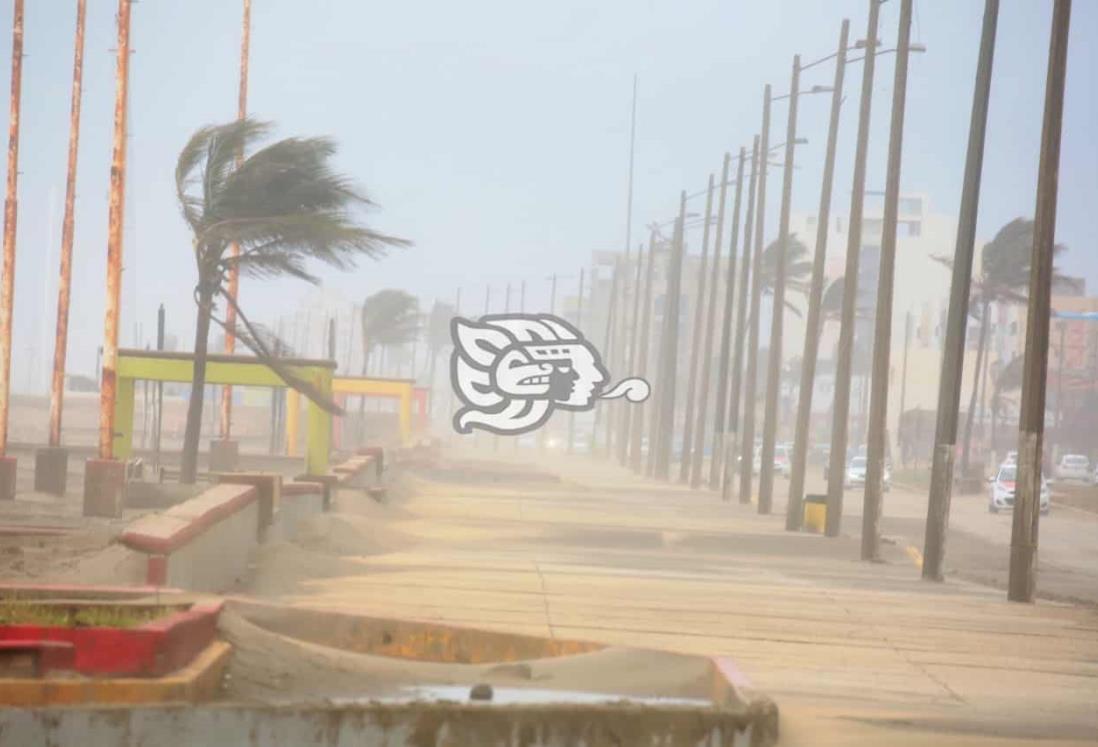 Alerta gris por FF 36 en Veracruz; advierten ráfagas de 110 km/h